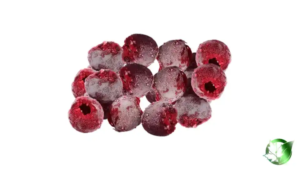 Bulk Frozen Sour Cherries | Suppliers | Wholesale | ParsaFood Global